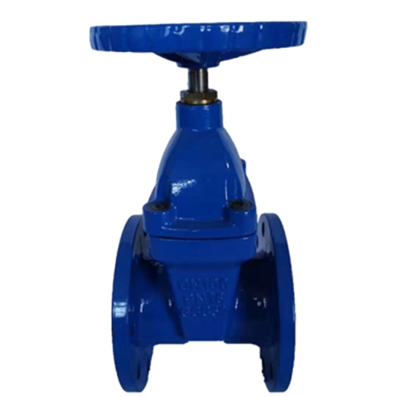Veal Seat Valve Gate